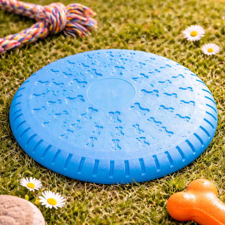 PowerDisc™
