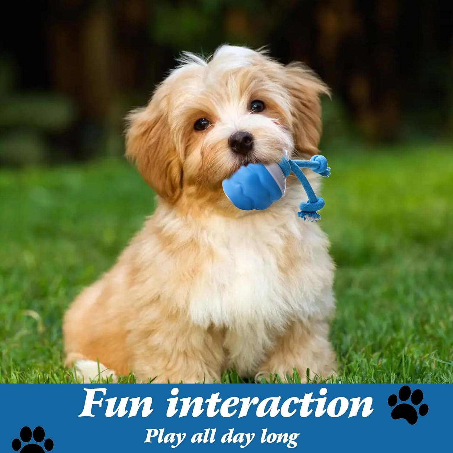 Interactive Dog Toys with Motion Activated, Squeaky Dog Toy Active Rolling Ball Wicked Ball for Daily Training