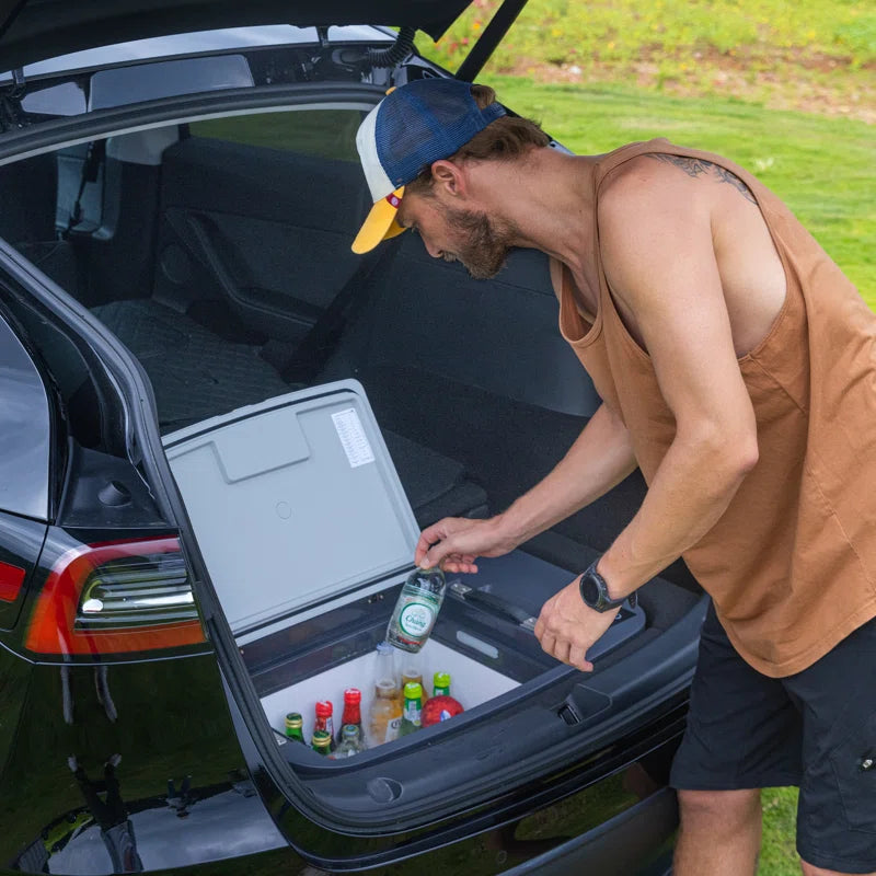  Portable Cooler Freezer Designed with Smart APP Control for Tesla