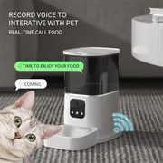 Automatic Pet Feeder