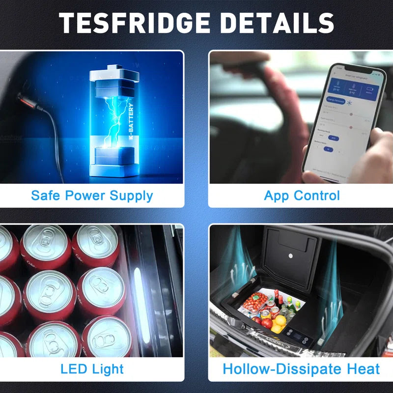  Portable Cooler Freezer Designed with Smart APP Control for Tesla