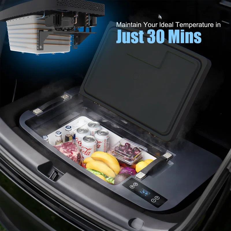  Portable Cooler Freezer Designed with Smart APP Control for Tesla