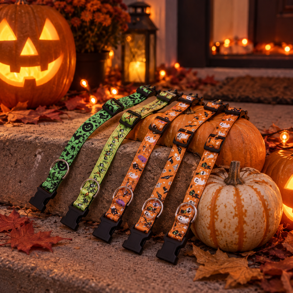 BooBuckle™ Halloween collars