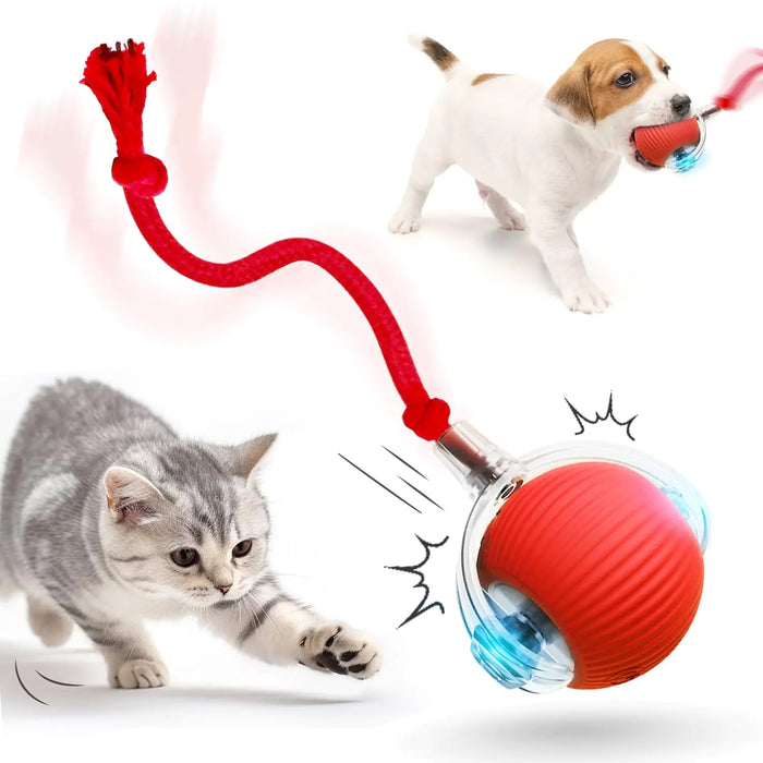 ZoomTail™